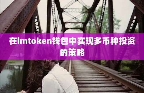 在imtoken钱包中实现多币种投资的策略