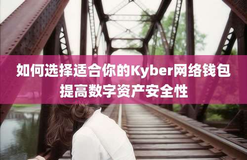 如何选择适合你的Kyber网络钱包提高数字资产安全性