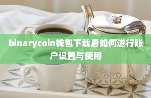 binarycoin钱包下载后如何进行账户设置与使用