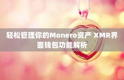 轻松管理你的Monero资产 XMR界面钱包功能解析