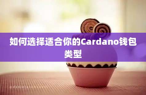 如何选择适合你的Cardano钱包类型