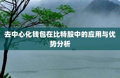 去中心化钱包在比特股中的应用与优势分析