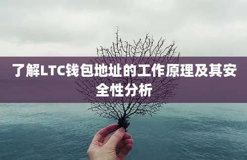 了解LTC钱包地址的工作原理及其安全性分析