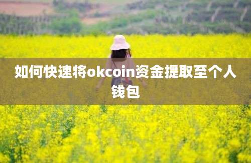 如何快速将okcoin资金提取至个人钱包