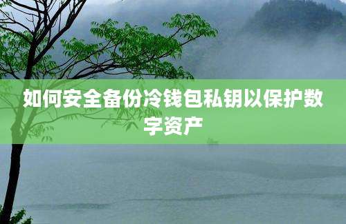 如何安全备份冷钱包私钥以保护数字资产