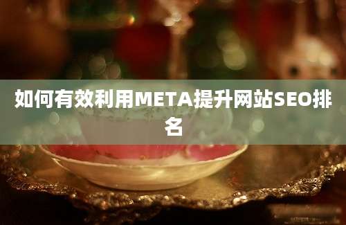 如何有效利用META提升网站SEO排名