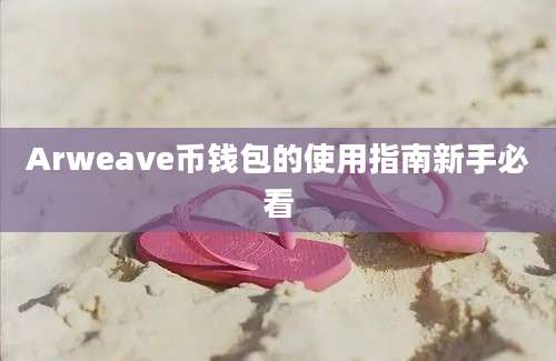 Arweave币钱包的使用指南新手必看