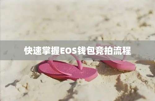 快速掌握EOS钱包竞拍流程