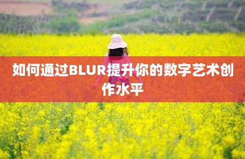 如何通过BLUR提升你的数字艺术创作水平