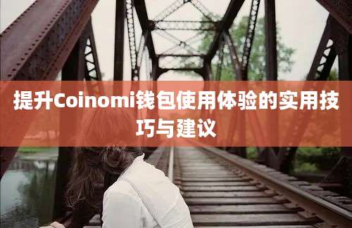 提升Coinomi钱包使用体验的实用技巧与建议