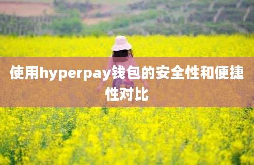 使用hyperpay钱包的安全性和便捷性对比