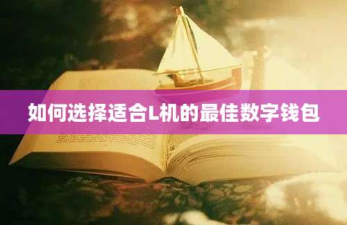 如何选择适合L机的最佳数字钱包