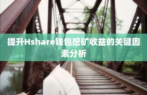 提升Hshare钱包挖矿收益的关键因素分析