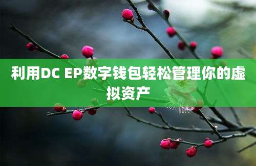 利用DC EP数字钱包轻松管理你的虚拟资产