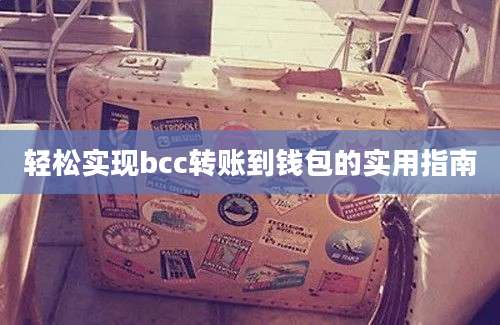 轻松实现bcc转账到钱包的实用指南