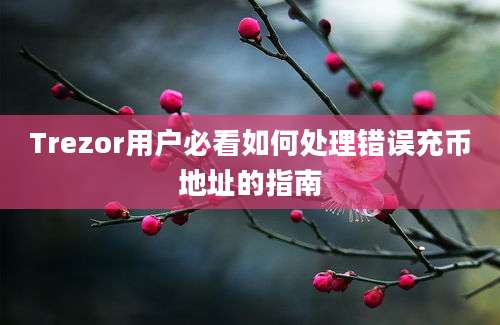 Trezor用户必看如何处理错误充币地址的指南