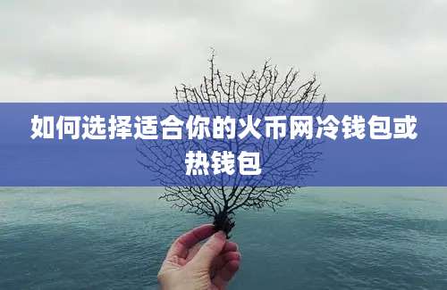 如何选择适合你的火币网冷钱包或热钱包