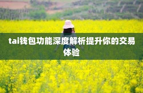 tai钱包功能深度解析提升你的交易体验