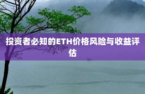 投资者必知的ETH价格风险与收益评估