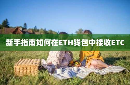 新手指南如何在ETH钱包中接收ETC