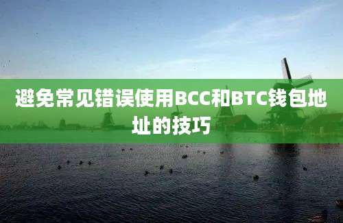 避免常见错误使用BCC和BTC钱包地址的技巧