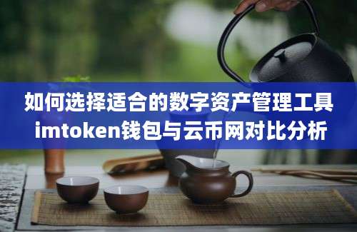 如何选择适合的数字资产管理工具 imtoken钱包与云币网对比分析