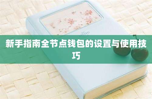 新手指南全节点钱包的设置与使用技巧