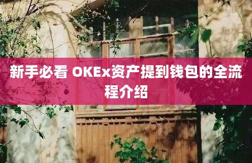 新手必看 OKEx资产提到钱包的全流程介绍