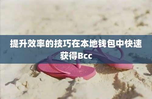 提升效率的技巧在本地钱包中快速获得Bcc