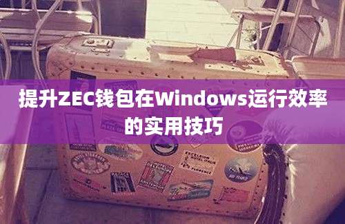 提升ZEC钱包在Windows运行效率的实用技巧