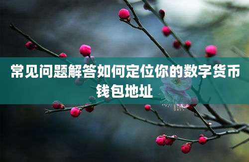 常见问题解答如何定位你的数字货币钱包地址