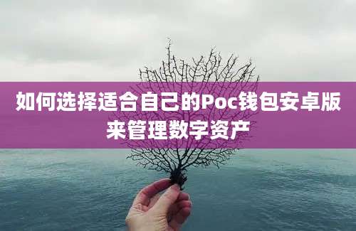 如何选择适合自己的Poc钱包安卓版来管理数字资产