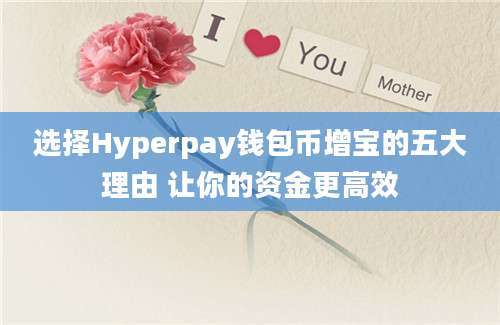 选择Hyperpay钱包币增宝的五大理由 让你的资金更高效