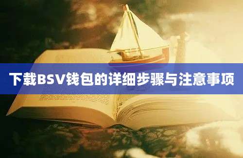 下载BSV钱包的详细步骤与注意事项