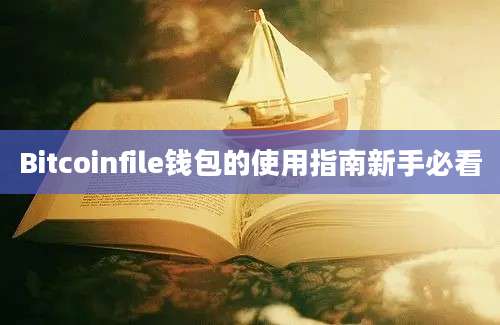 Bitcoinfile钱包的使用指南新手必看