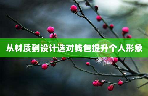 从材质到设计选对钱包提升个人形象