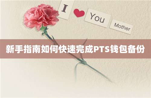 新手指南如何快速完成PTS钱包备份