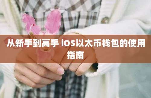 从新手到高手 iOS以太币钱包的使用指南