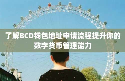 了解BCD钱包地址申请流程提升你的数字货币管理能力