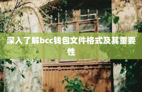 深入了解bcc钱包文件格式及其重要性