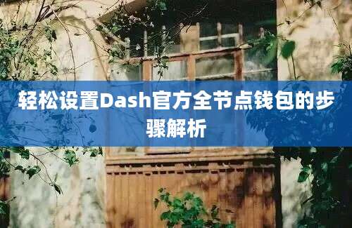 轻松设置Dash官方全节点钱包的步骤解析