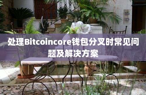 处理Bitcoincore钱包分叉时常见问题及解决方案