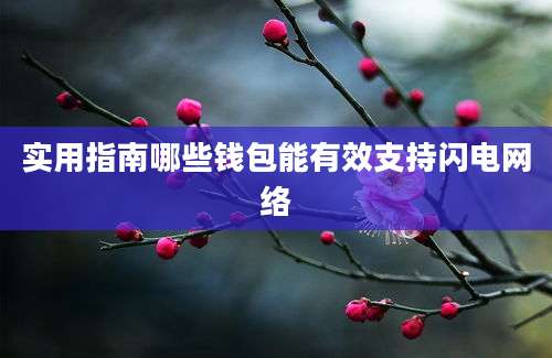 实用指南哪些钱包能有效支持闪电网络