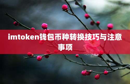 imtoken钱包币种转换技巧与注意事项