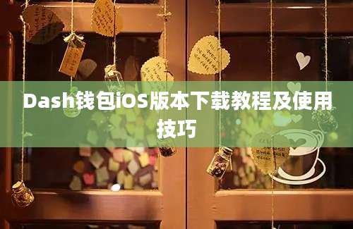 Dash钱包iOS版本下载教程及使用技巧