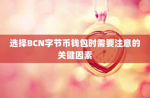 选择BCN字节币钱包时需要注意的关键因素