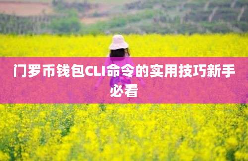 门罗币钱包CLI命令的实用技巧新手必看