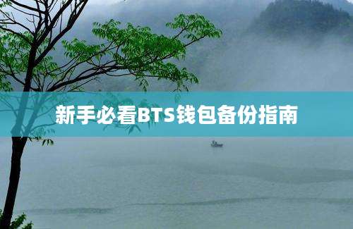 新手必看BTS钱包备份指南