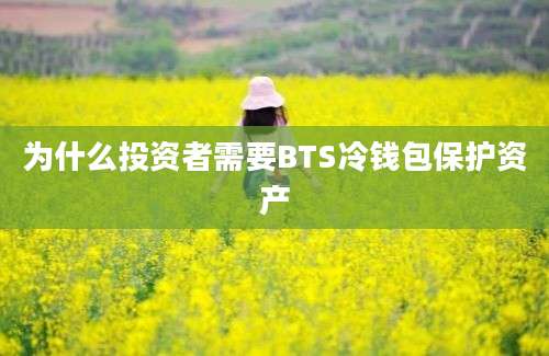 为什么投资者需要BTS冷钱包保护资产