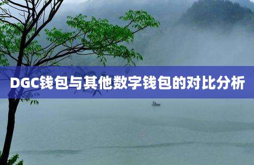 DGC钱包与其他数字钱包的对比分析